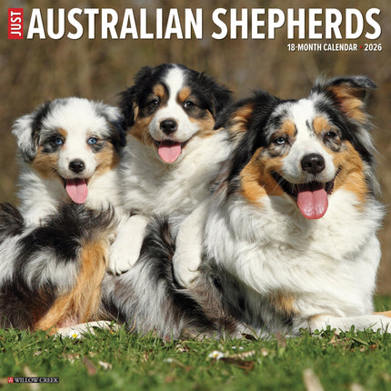 Willow Creek Australian Shepherd Kalender 2027