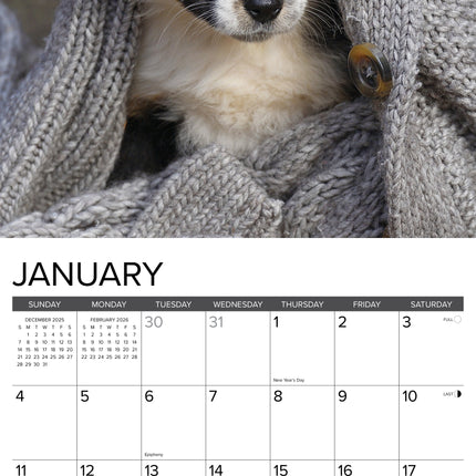 Willow Creek Australian Shepherd Puppies Kalender 2026