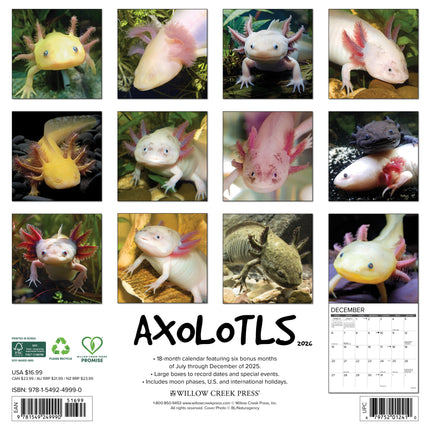 Willow Creek Axolotls Kalender 2026
