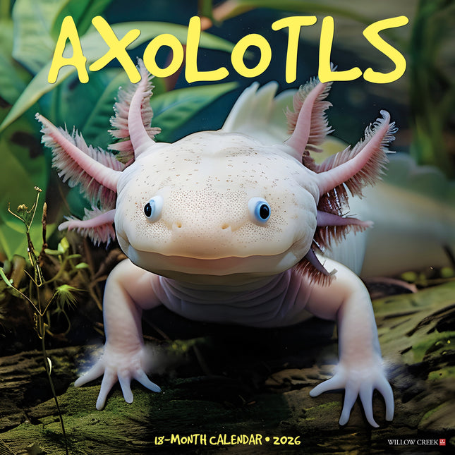 Willow Creek Axolotls Kalender 2026