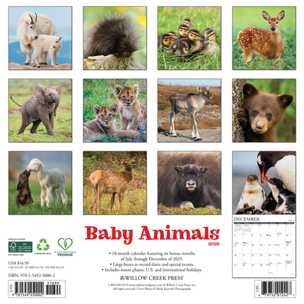 Willow Creek Baby Dieren Kalender 2027
