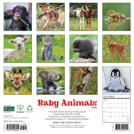 Willow Creek Baby Dieren Kalender 2027
