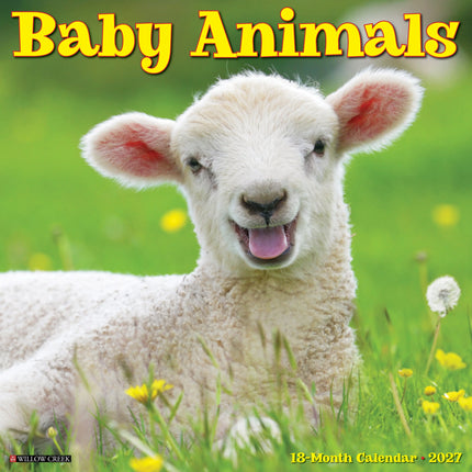 Willow Creek Baby Dieren Kalender 2027