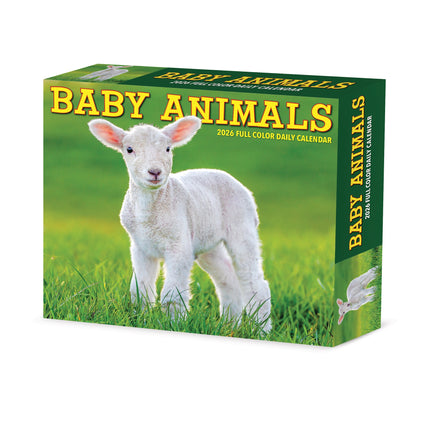 Willow Creek Baby Dieren Scheurkalender 2027 Boxed