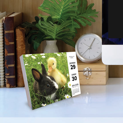 Willow Creek Baby Dieren Scheurkalender 2027 Boxed