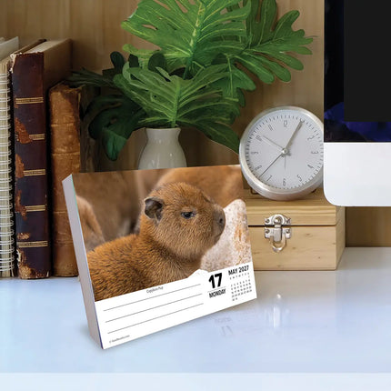 Willow Creek Baby Dieren Scheurkalender 2027 Boxed