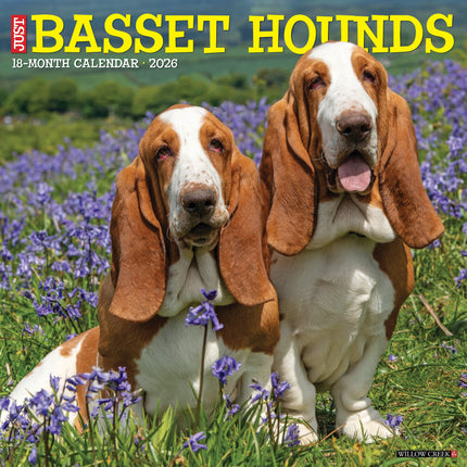 Willow Creek Basset Hound Kalender 2026