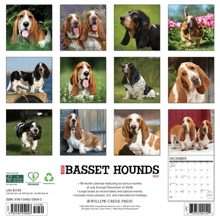 Willow Creek Basset Hound Kalender 2027