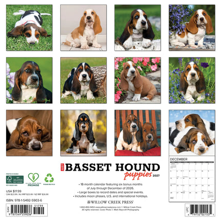 Willow Creek Basset Hound Puppies Kalender 2026