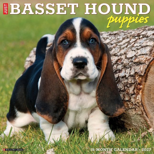 Willow Creek Basset Hound Puppies Kalender 2027