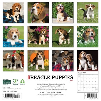 Willow Creek Beagle Puppies Kalender 2027