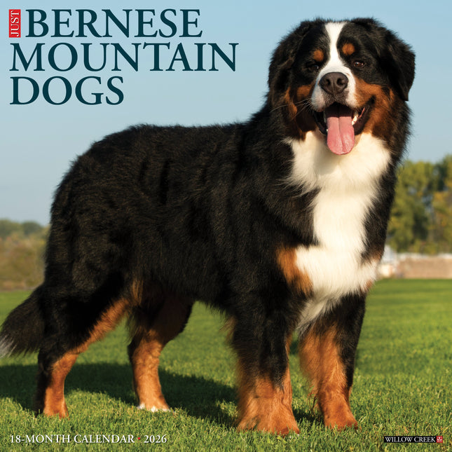 Bernese Breeder Willow Creek Bernese Mountain Dogs List Of Bernese