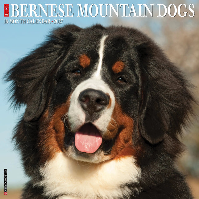 Willow Creek Berner Sennen Kalender 2027