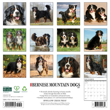 Willow Creek Berner Sennen Kalender 2027