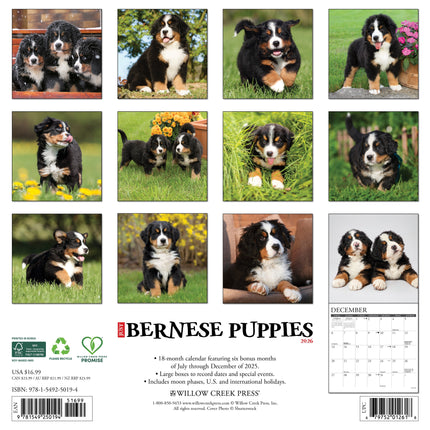 Willow Creek Berner Sennen Puppies Kalender 2026