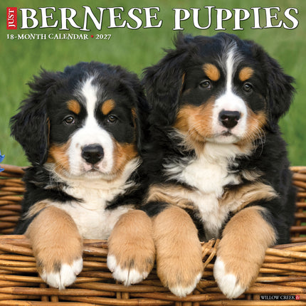 Willow Creek Berner Sennen Puppies Kalender 2027