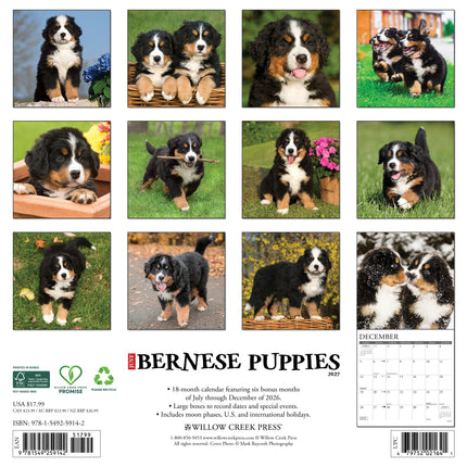 Willow Creek Berner Sennen Puppies Kalender 2027