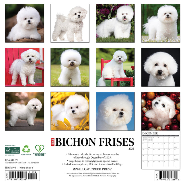 Willow Creek Bichon Frise Kalender 2026