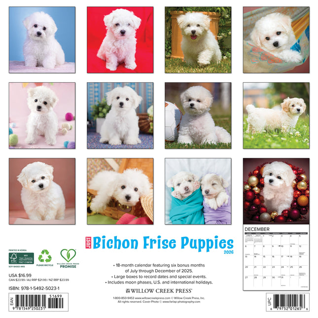 Willow Creek Bichon Frise Puppies Kalender 2026