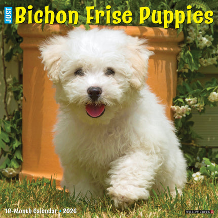 Willow Creek Bichon Frise Puppies Kalender 2026