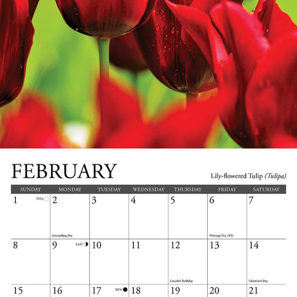 Willow Creek Bloemen Kalender 2026 Mini