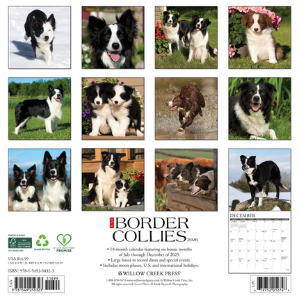 Willow Creek Border Collie Kalender 2026