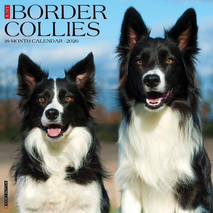 Willow Creek Border Collie Kalender 2026
