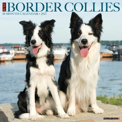Willow Creek Border Collie Kalender 2026