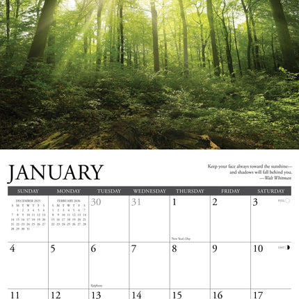 Willow Creek Bos Kalender 2026