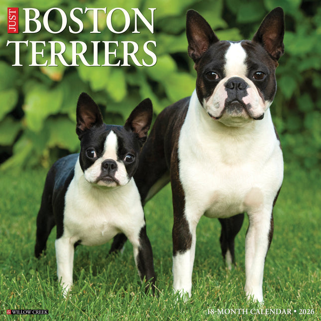 Willow Creek Boston Terrier Kalender 2027