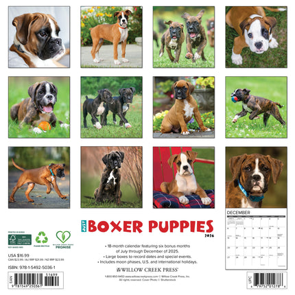 Willow Creek Boxer Puppies Kalender 2026