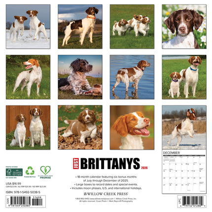 Willow Creek Brittany Spaniel Kalender 2026