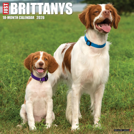 Willow Creek Brittany Spaniel Kalender 2026