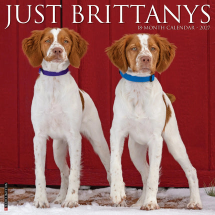 Willow Creek Brittany Spaniel Kalender 2027