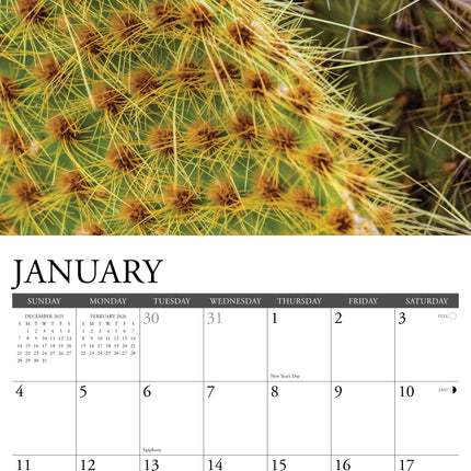 Willow Creek Cactus Kalender 2026