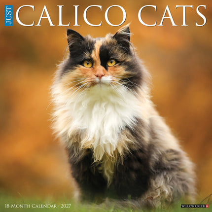 Willow Creek Calico Katten Kalender 2027