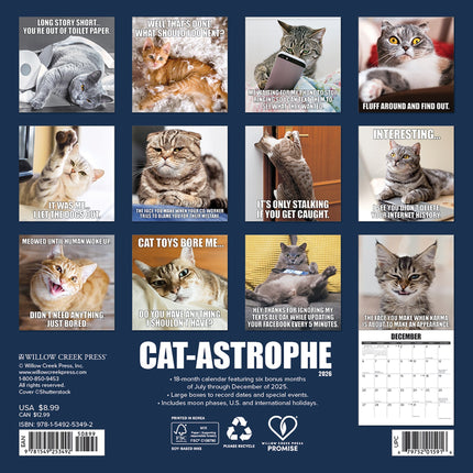 Willow Creek Cat-astrophe Kalender 2026 Mini