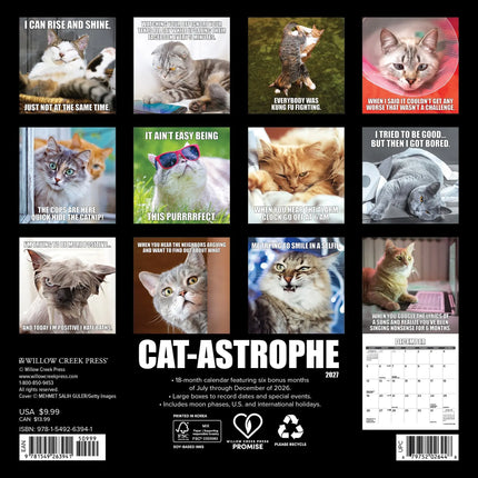 Willow Creek Cat-astrophe Kalender 2027 Mini