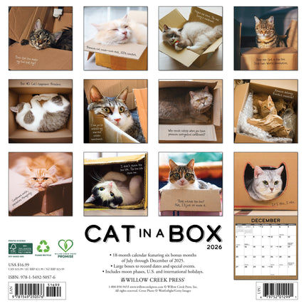 Willow Creek Cat in a Box Kalender 2026