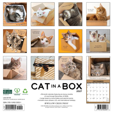 Willow Creek Cat in a Box Kalender 2027