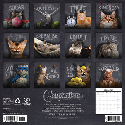 Willow Creek Catspirations Kalender 2026