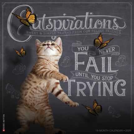 Willow Creek Catspirations Kalender 2026