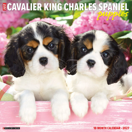 Willow Creek Cavalier King Charles Spaniel Puppies Kalender 2027