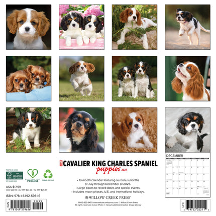 Willow Creek Cavalier King Charles Spaniel Puppies Kalender 2027