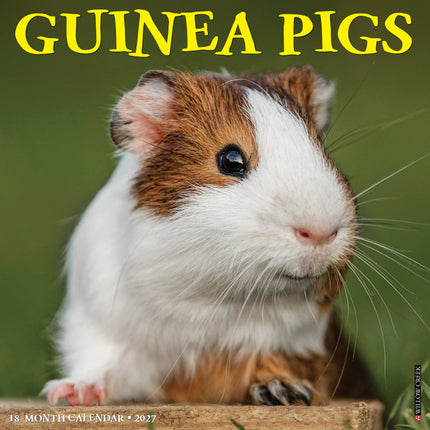 Willow Creek Cavia Kalender 2027