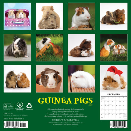 Willow Creek Cavia Kalender 2027
