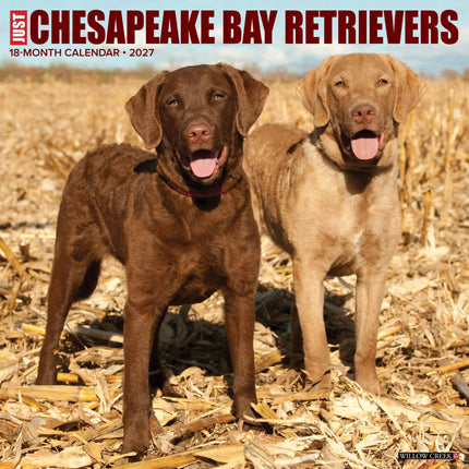 Willow Creek Chesapeake Bay Retriever Kalender 2026
