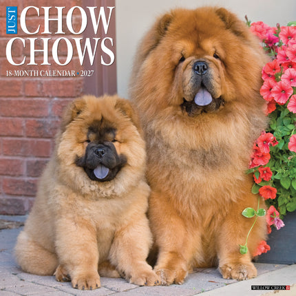 Willow Creek Chow Chow Kalender 2026