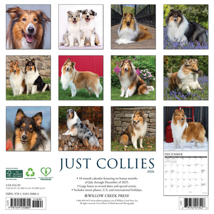 Willow Creek Collie - Schotse Herder Kalender 2026