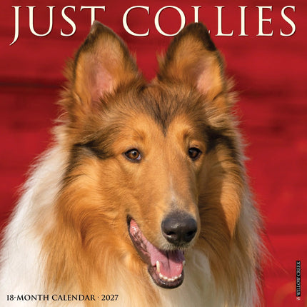 Willow Creek Collie - Schotse Herder Kalender 2026
